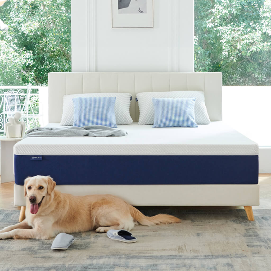 Molblly gel cooling foam mattress with a dog