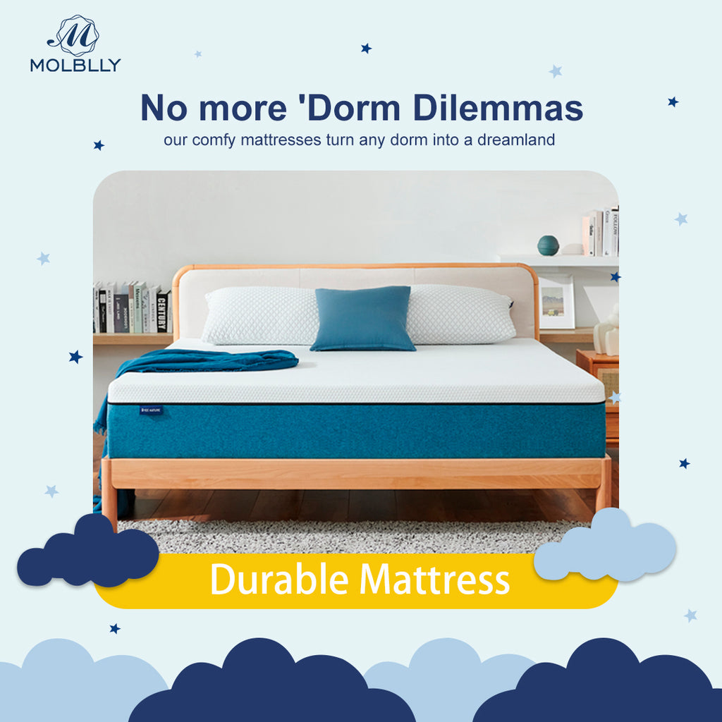 Which mattress lasts the longest?